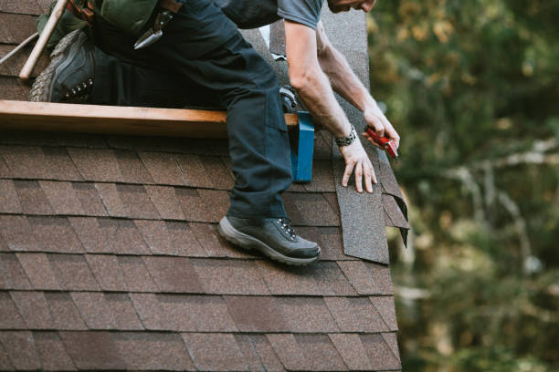 Best Storm Damage Roof Repair  in Trumann, AR